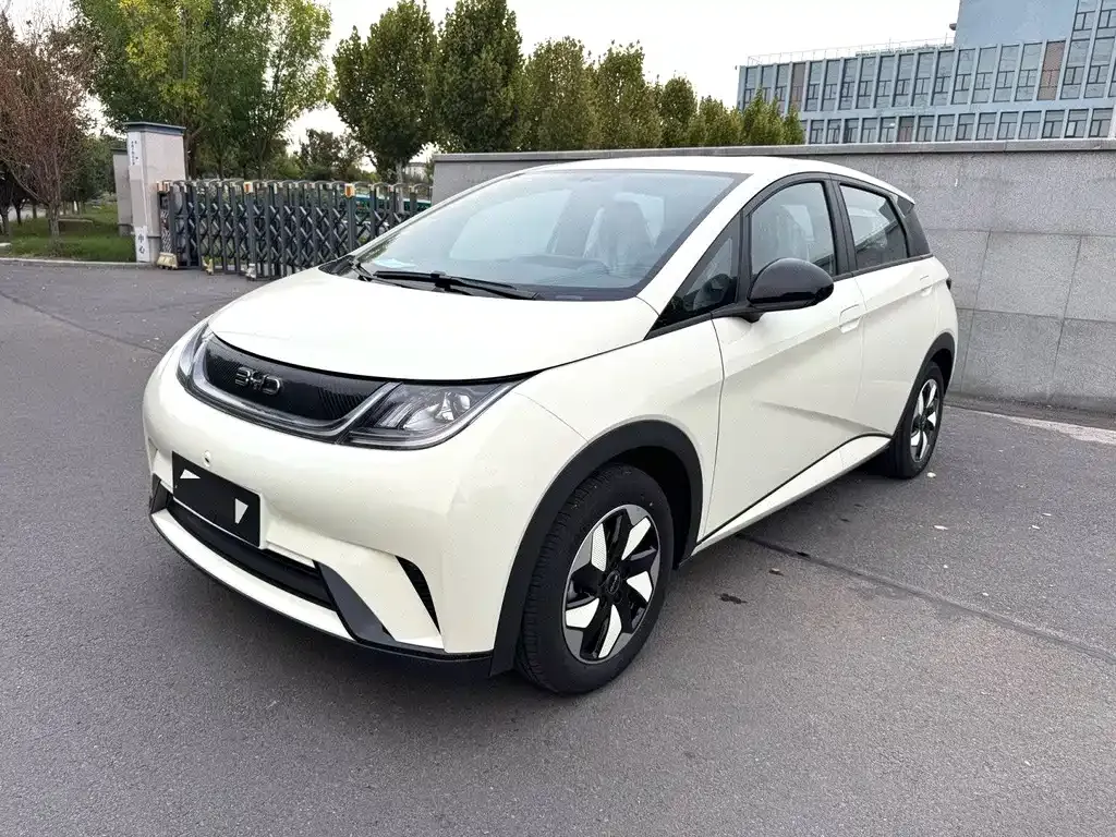 2024 BYD Dolphin Glory 420km Freedom