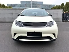 2024 BYD Dolphin Glory 420km Freedom, белый — фото 2