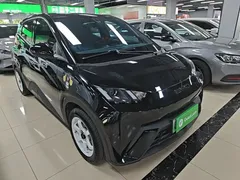 2023 BYD Seagull Vitality, чёрный — фото 4