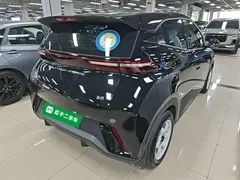 2023 BYD Seagull Vitality, чёрный — фото 7