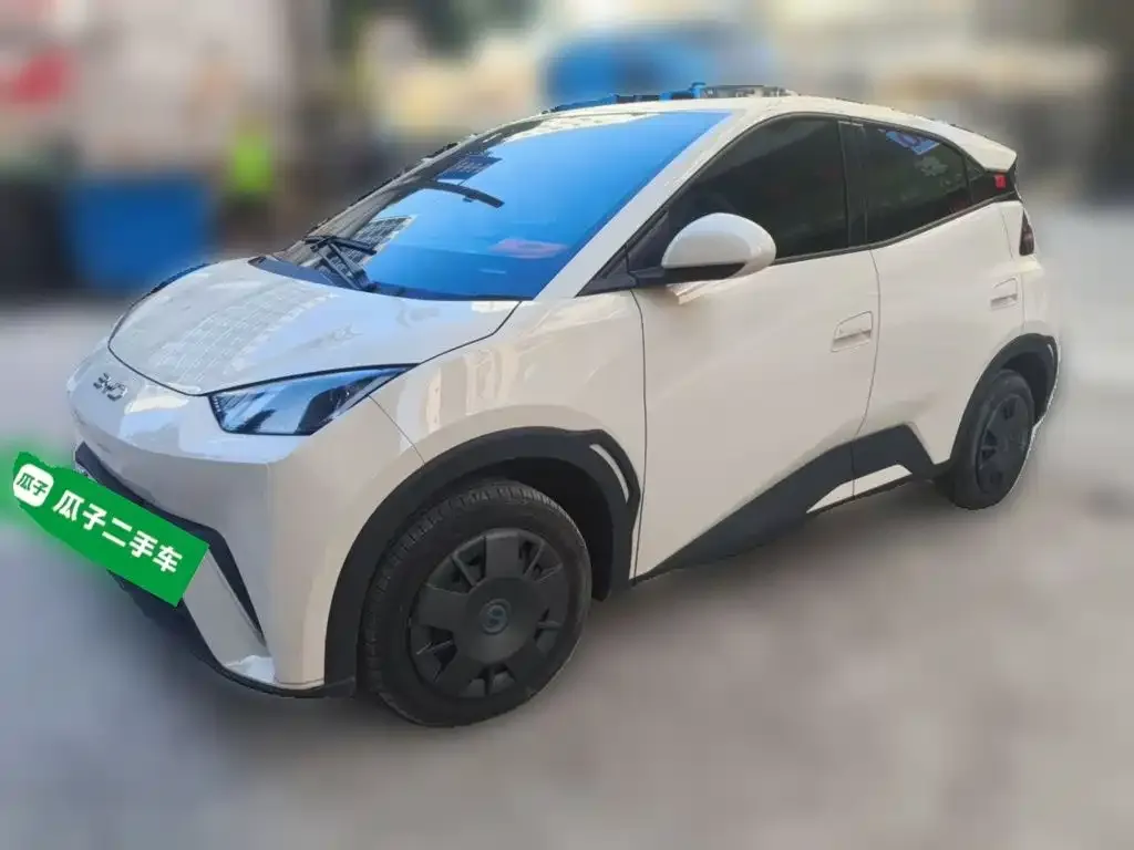 2024 BYD Seagull Honor 305km Vitality