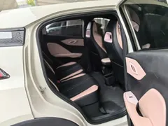 2024 BYD Seagull Honor 305km Vitality, белый — фото 16
