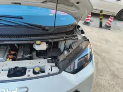 2024 BYD Seagull Honor 305km Vitality, белый — фото 24