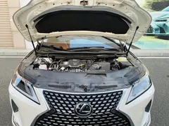 2020 Lexus RX 300 4WD Elegant, белый — фото 12