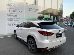 2020 Lexus RX 300 4WD Elegant, белый — фото 16