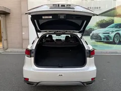 2020 Lexus RX 300 4WD Elegant, белый — фото 17