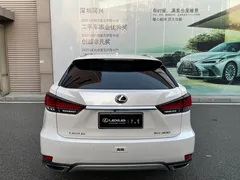 2020 Lexus RX 300 4WD Elegant, белый — фото 18