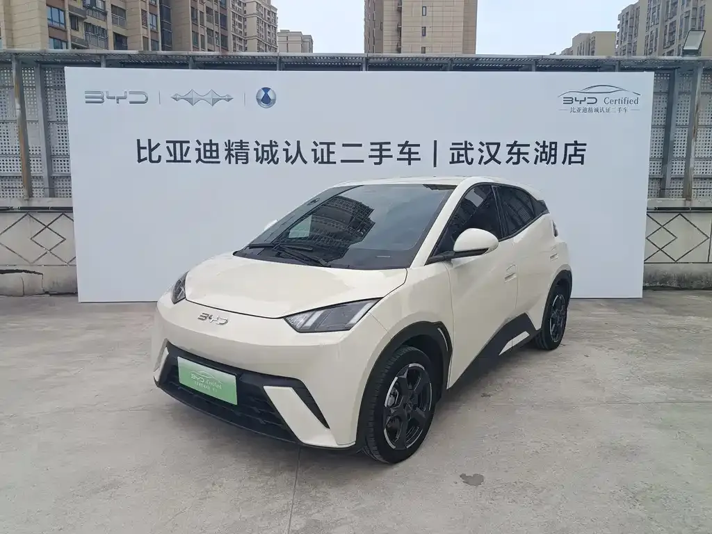 2023 BYD Seagull Freedom
