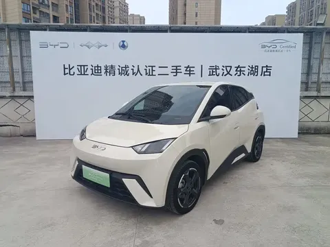 2023 BYD Seagull Freedom