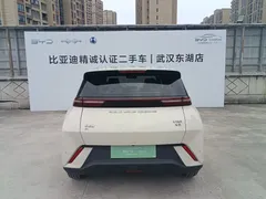 2023 BYD Seagull Freedom, белый — фото 19