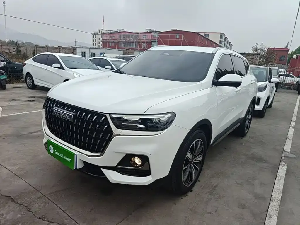 2023 Haval H6 1.5T AT Guochao Champion