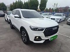 2023 Haval H6 1.5T AT Guochao Champion, белый — фото 4