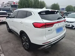 2023 Haval H6 1.5T AT Guochao Champion, белый — фото 5
