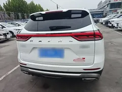 2023 Haval H6 1.5T AT Guochao Champion, белый — фото 6