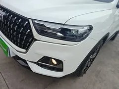 2023 Haval H6 1.5T AT Guochao Champion, белый — фото 24