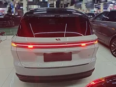 2025 Li Auto i8 Standard — фото 6