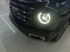 2021 Haval Dargo 2.0T DCT 4WD, чёрный — фото 24