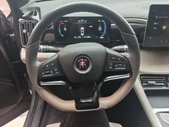2024 BYD Song Pro Honor DM-i PHEV 71km Navigator — фото 22