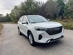 2023 Haval M6 Plus 1.5T MT Elite, белый — фото 3
