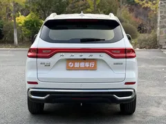 2021 Haval M6 Plus 1.5T DCT Luxury, белый — фото 3