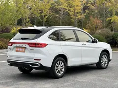 2021 Haval M6 Plus 1.5T DCT Luxury, белый — фото 4