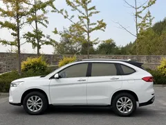 2021 Haval M6 Plus 1.5T DCT Luxury, белый — фото 5