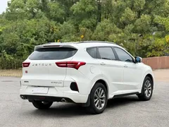 2020 Jetour X70 1.5T MT 7-seat, белый — фото 4