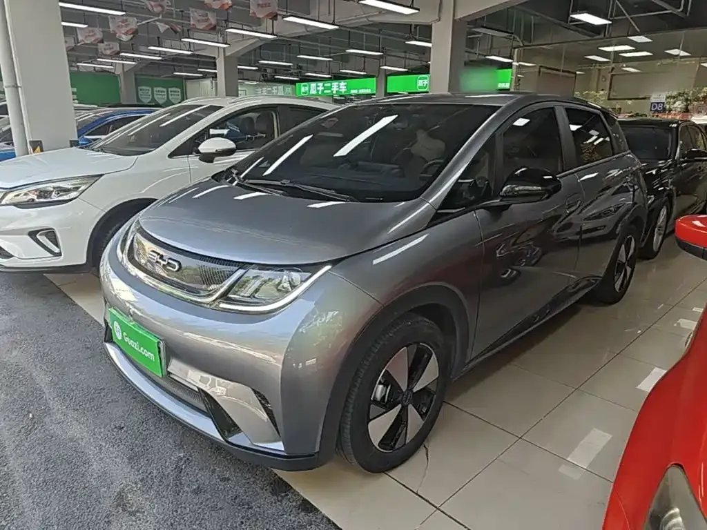 2023 BYD Dolphin 420km Freedom