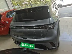 2023 BYD Dolphin 420km Freedom — фото 6