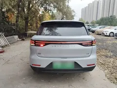 2023 Leapmotor C11 EV 500 Comfort — фото 6