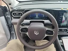 2023 Leapmotor C11 EV 500 Comfort — фото 11