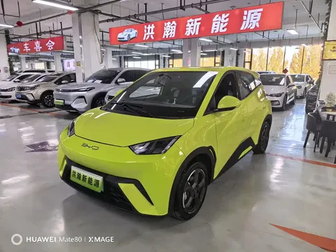 2023 BYD Seagull Flying