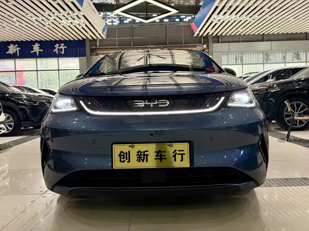 2025 BYD Dolphin Smart Driving 410km Fashion
