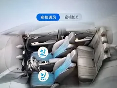2025 BYD Dolphin Smart Driving 410km Fashion, синий — фото 18