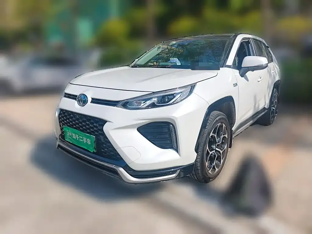 2021 Toyota Wildlander High Performance 2.5L 4WD