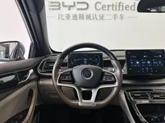 2023 BYD Qin PLUS Champion EV 420km Leading, синий — фото 7