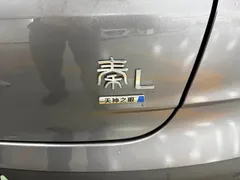 2025 BYD Qin L PHEV Smart Driving 120km Leading — фото 11