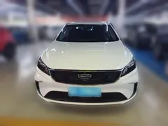 2021 Geely Binrui 1.4T CVT Asian Games Edition, белый — фото 5