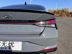 2022 Hyundai Elantra 240TGDi DCT LUX Premium — фото 19