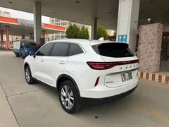 2021 Haval H6 3rd Gen 1.5T AT 2WD Supreme, белый — фото 14