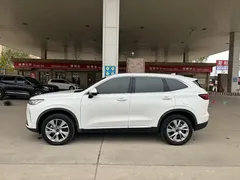 2021 Haval H6 3rd Gen 1.5T AT 2WD Supreme, белый — фото 15