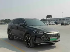 2024 BYD Tang DM-i PHEV 112KM Honor Edition Premium — фото 2