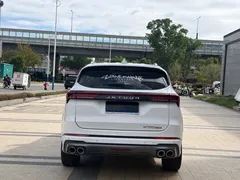 2021 Jetour X70 PLUS 1.6T DCT PRO+ 5-seat, белый — фото 8