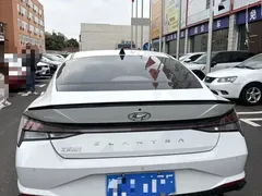 2021 Hyundai Elantra 240TGDi DCT LUX Premium, белый — фото 6
