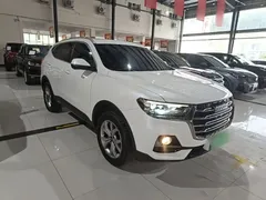 2021 Haval H6 1.5GDIT AT Guochao Champion, белый — фото 4
