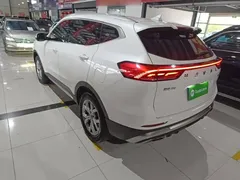 2021 Haval H6 1.5GDIT AT Guochao Champion, белый — фото 5