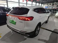 2021 Haval H6 1.5GDIT AT Guochao Champion, белый — фото 7