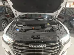 2021 Haval H6 1.5GDIT AT Guochao Champion, белый — фото 20