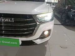 2021 Haval H6 1.5GDIT AT Guochao Champion, белый — фото 24