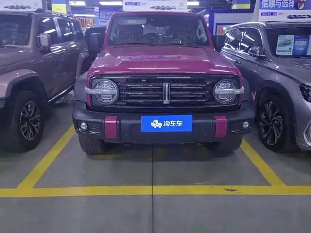 2021 Tank 300 Off-road 2.0T Conqueror